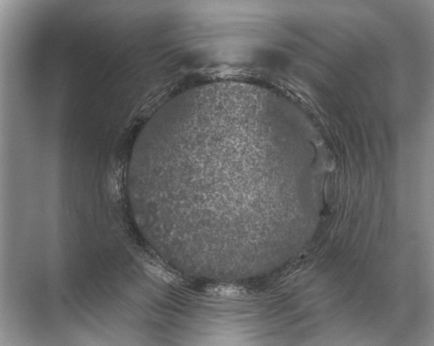 X0000071800503200607150150