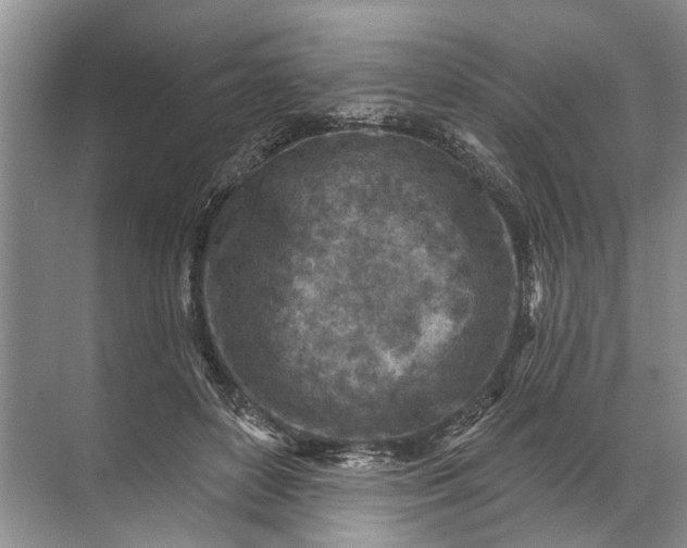 X0000071800504200607150150