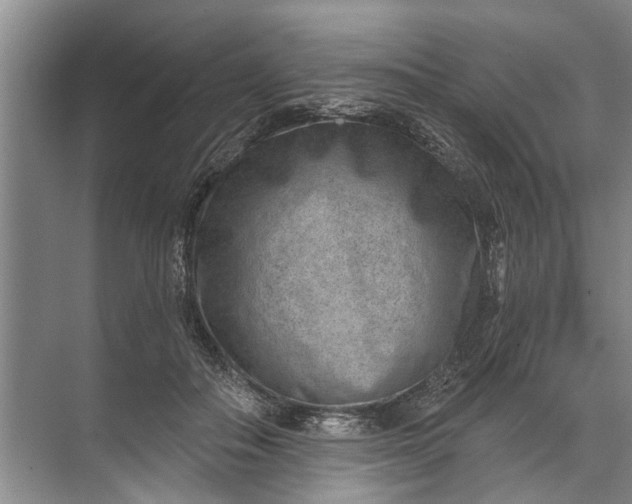 X0000071800506200607150150