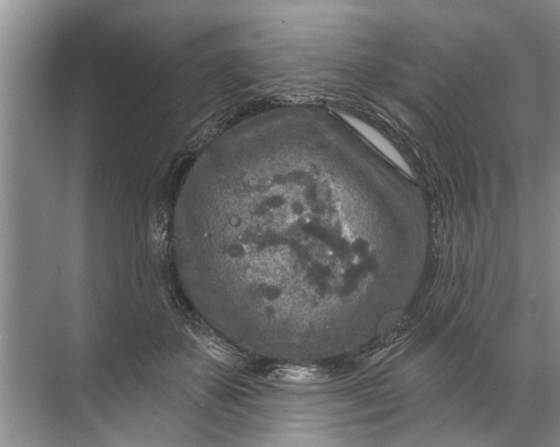 X0000071800507200607150150