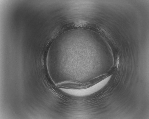 X0000071800508200607150150