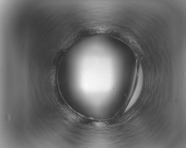 X0000071800509200607150150