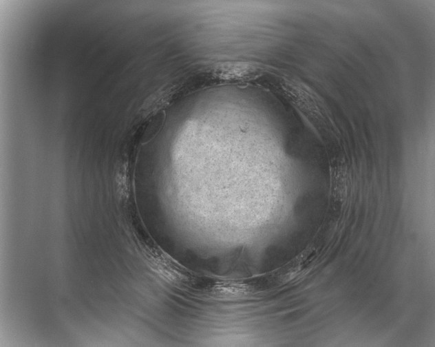 X0000071800510200607150150