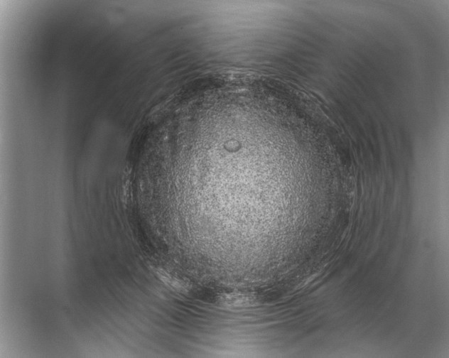 X0000071800511200607150150