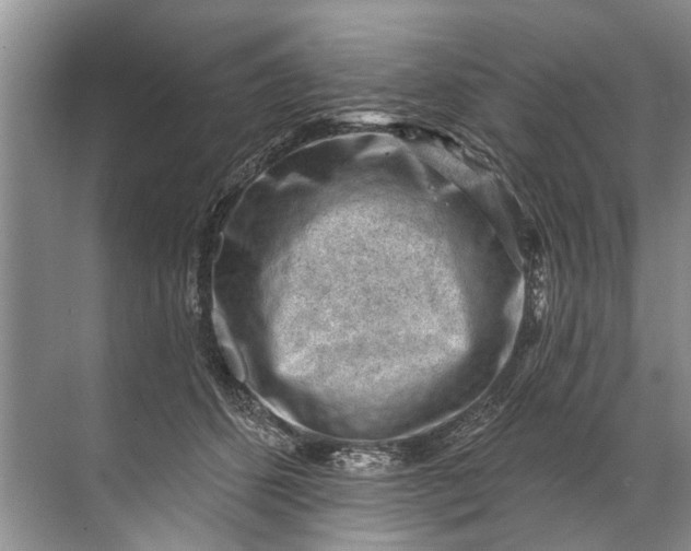 X0000071800512200607150150