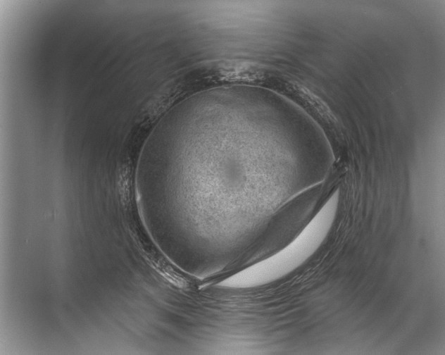 X0000071800513200607150150