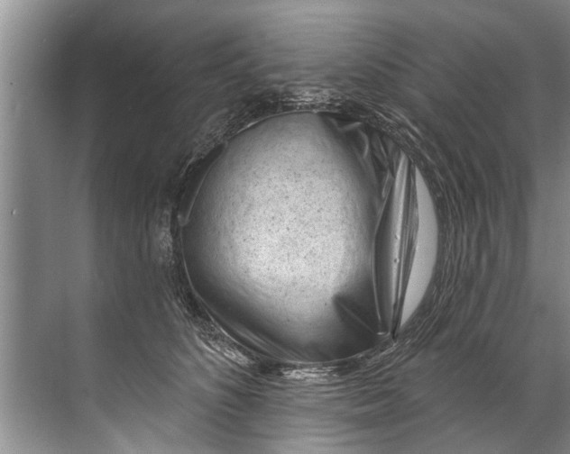 X0000071800516200607150150