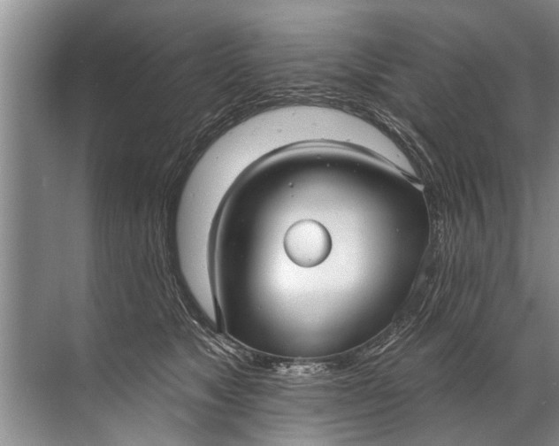 X0000071800517200607150150