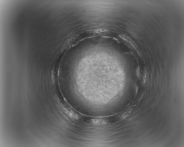 X0000071800520200607150150