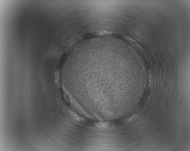 X0000071800523200607150150