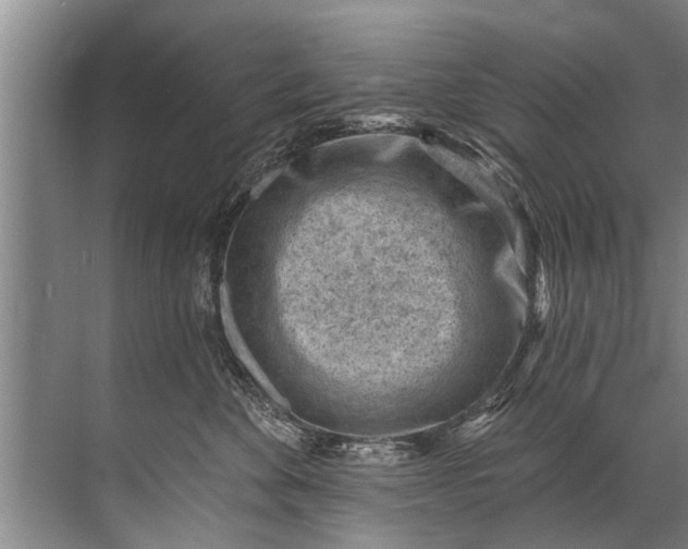 X0000071800524200607150150