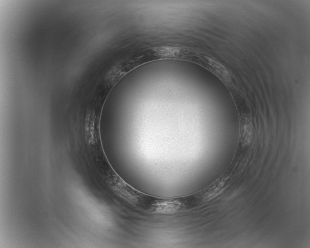 X0000071800525200607150150