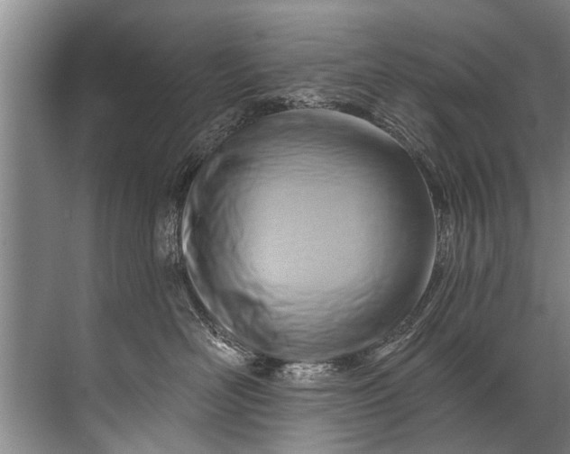 X0000071800526200607150150