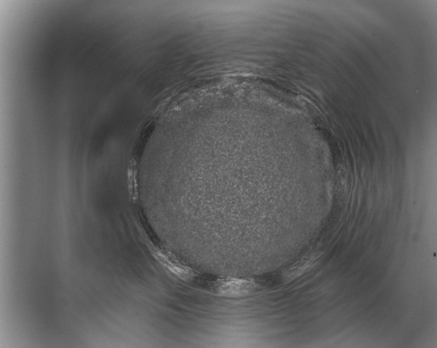 X0000071800527200607150150