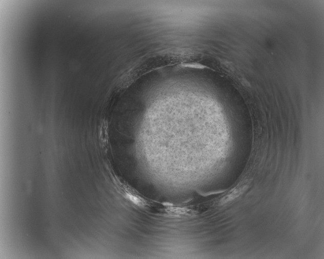 X0000071800528200607150150