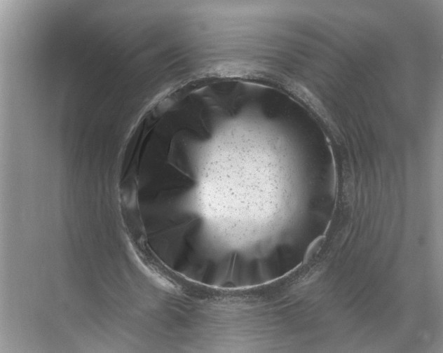 X0000071800530200607150149