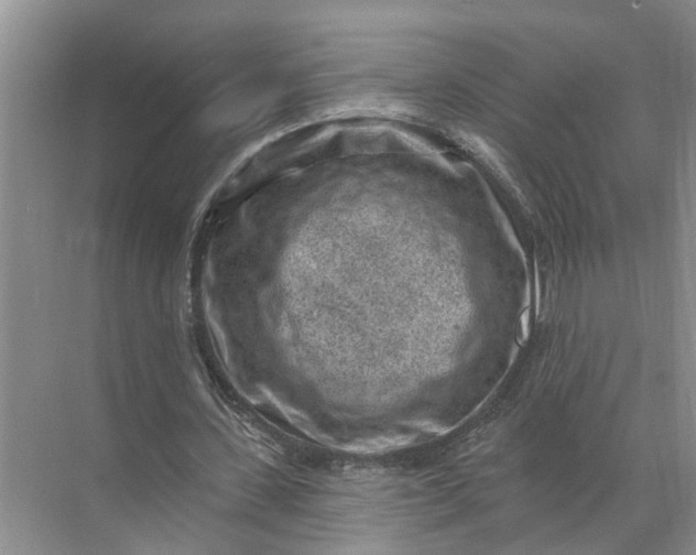 X0000071800531200607150149