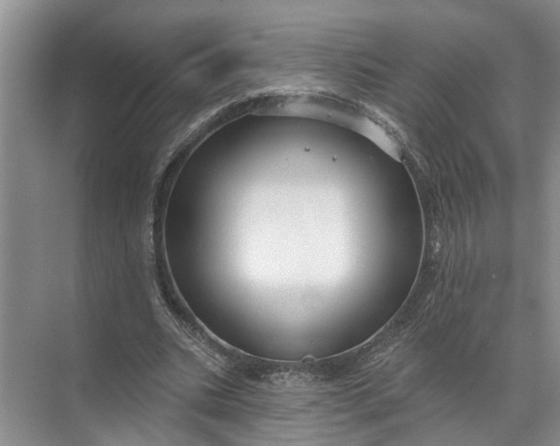 X0000071800535200607150149