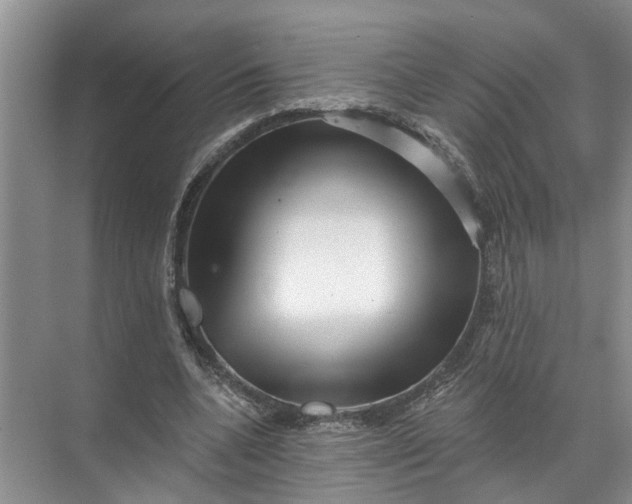 X0000071800536200607150149