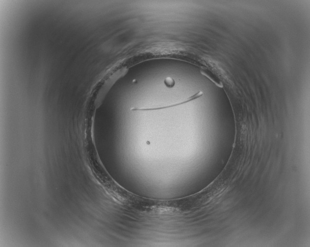 X0000071800539200607150149