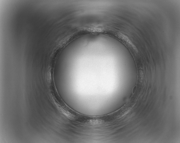 X0000071800541200607150149