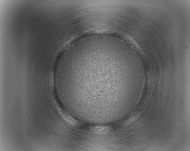 X0000071800542200607150149