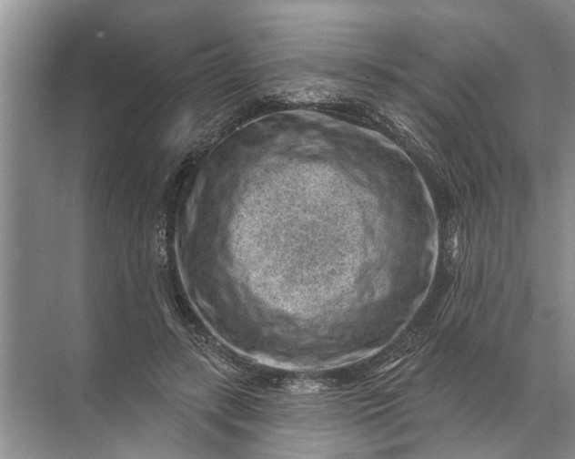 X0000071800547200607150149