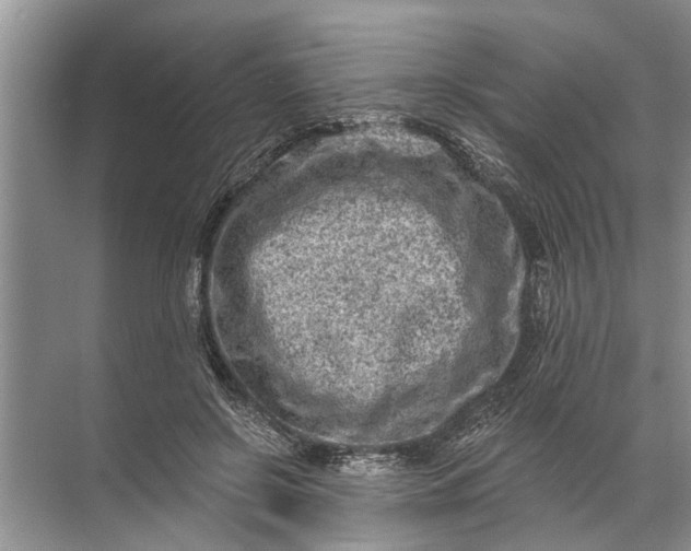 X0000071800550200607150149