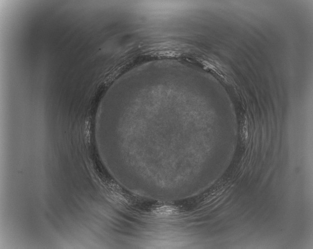 X0000071800551200607150149