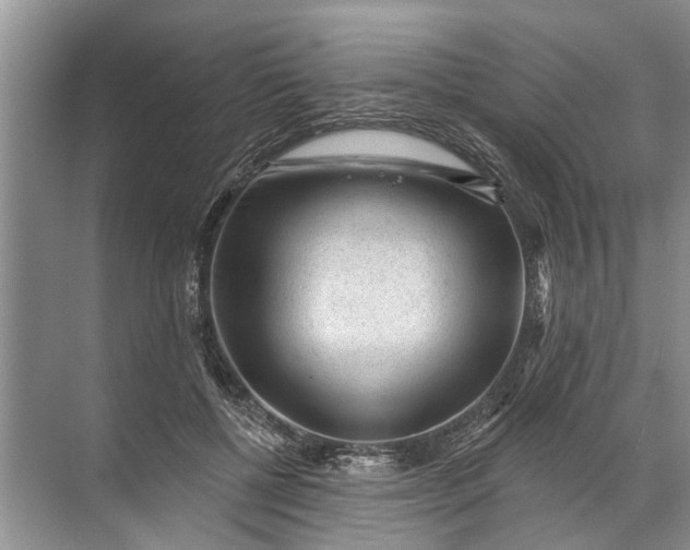 X0000071800552200607150149