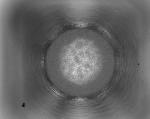 X0000071800553200607150149