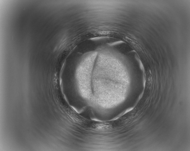 X0000071800555200607150149