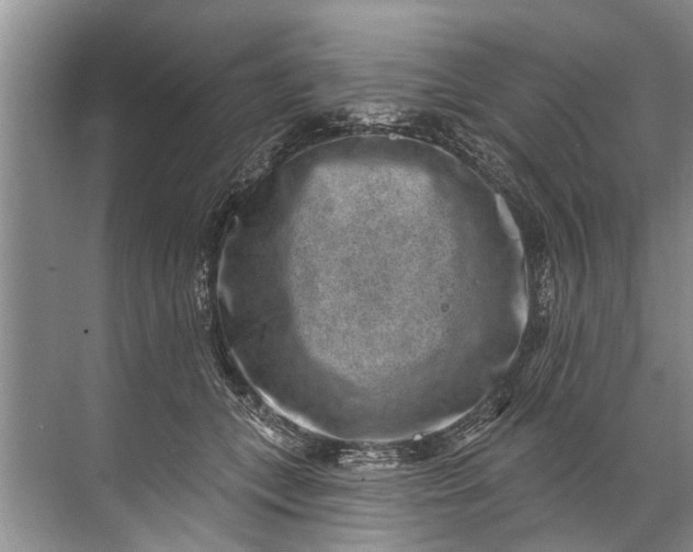 X0000071800559200607150149