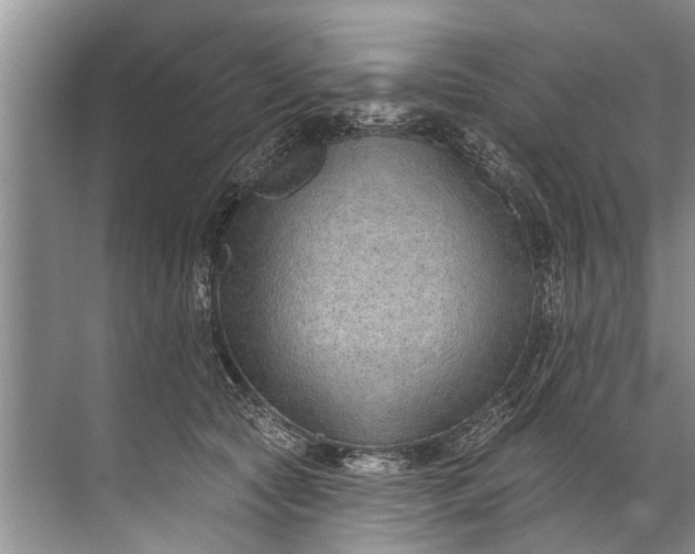 X0000071800561200607150149