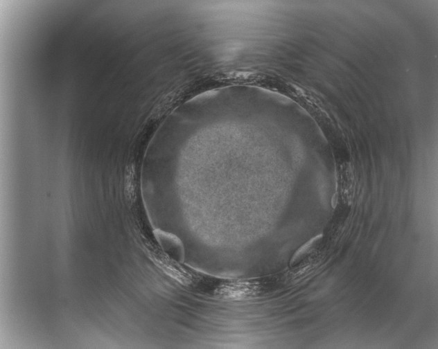 X0000071800563200607150149