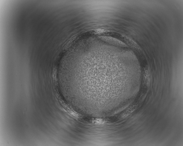 X0000071800565200607150149