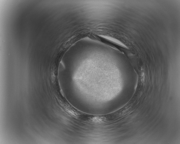 X0000071800566200607150149