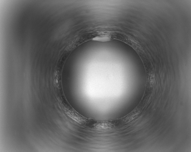 X0000071800567200607150149