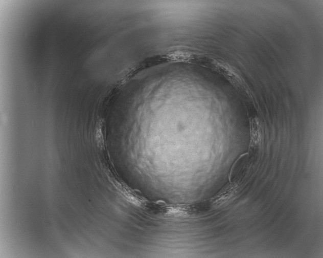 X0000071800573200607150150