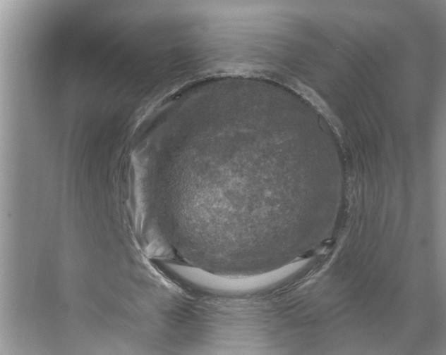 X0000071800577200607150149