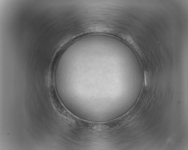 X0000071800579200607150149