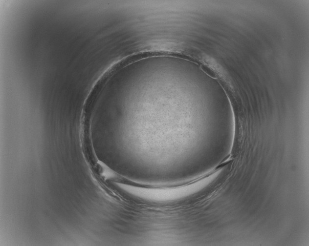 X0000071800580200607150149