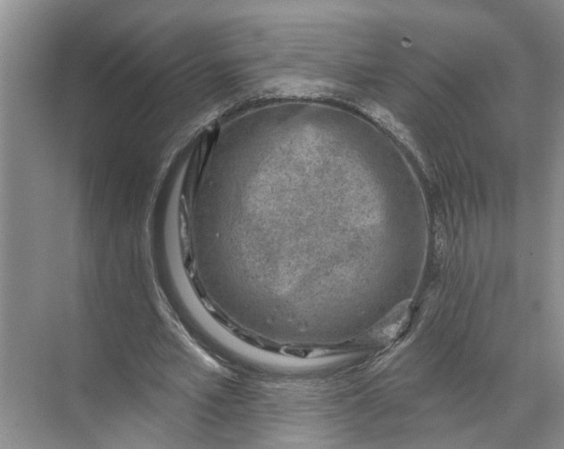 X0000071800581200607150149