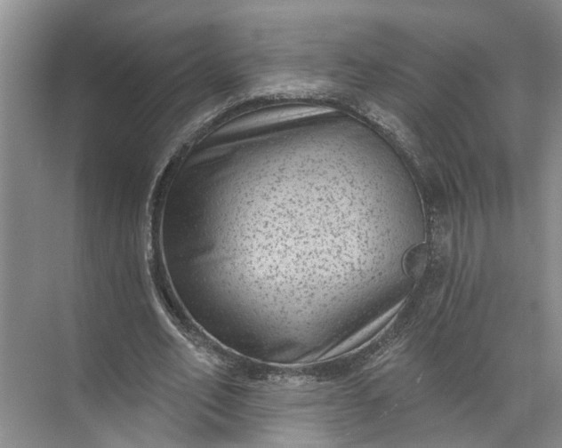 X0000071800582200607150149