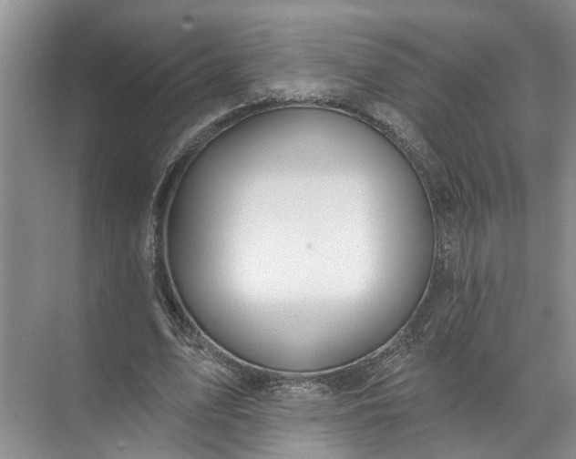 X0000071800583200607150149