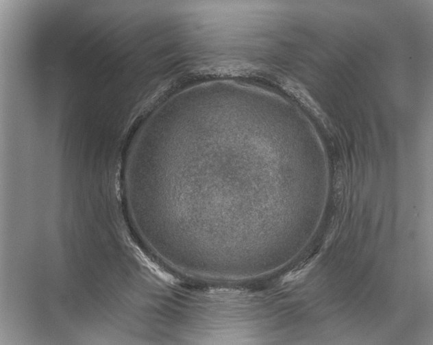 X0000071800585200607150149