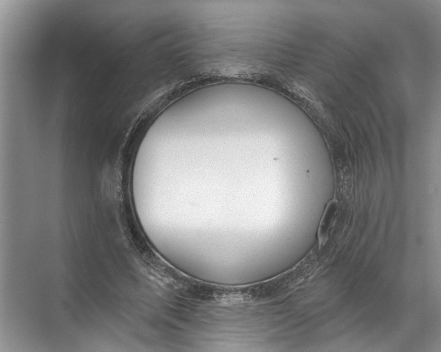 X0000071800587200607150149