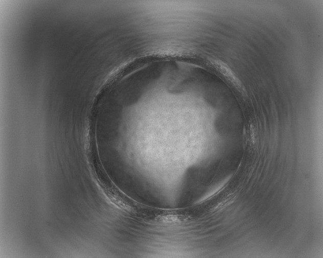 X0000071800588200607150149