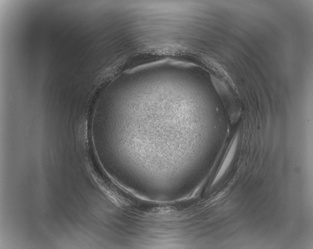 X0000071800589200607150149