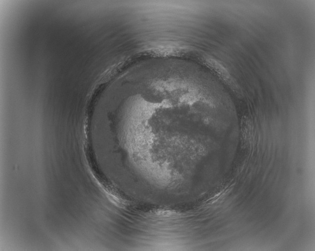 X0000071800590200607150149